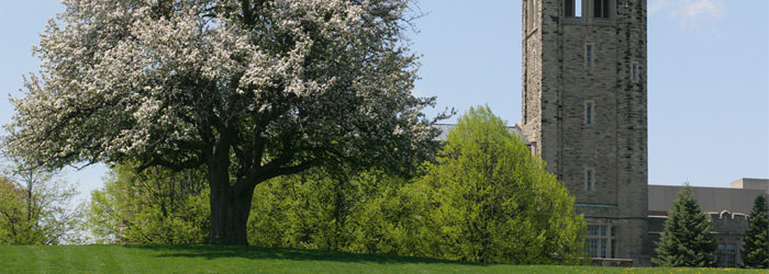 Western Campus Building